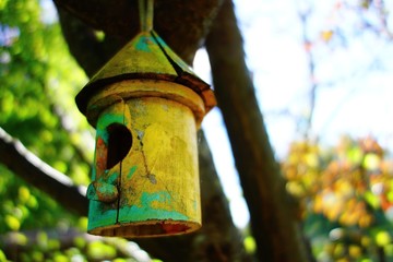 A green and yellow painted round birdhouse hangs from a tree branch in the summer sunshine.