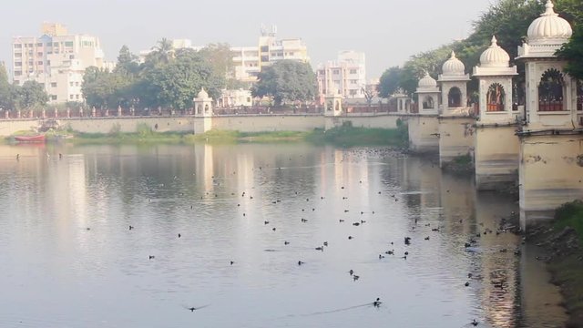 Beautiful lake in a city with birds early morning scene I Beautiful lake stock video