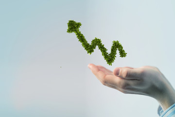 Make your income grow