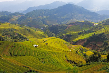 Fototapeta na wymiar Rice field at Mu Cang Chai, Vietnam
