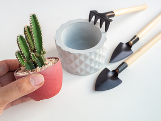 Hand holding cactus plant with geometric concrete planter and garden tool set