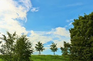 Obraz premium 風景 空 緑 夏 とちぎ