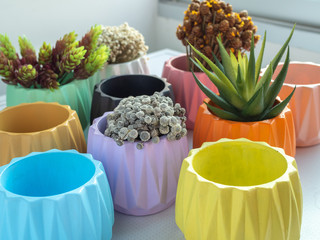 Colorful geometric planters. Painted concrete pots for home decoration