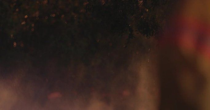 Mist through trees with firehose spray