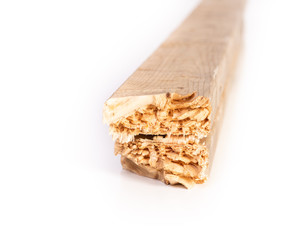 Fractured wood stud used in construction, endurance concept.