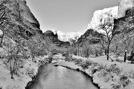 Zion in winter