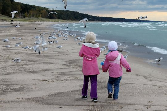 children on the beach