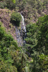 Fototapeta na wymiar waterfall in deep forest Australia Sunshine Coast