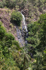 Fototapeta na wymiar waterfall in the mountains Australia Sunshine Coast