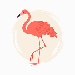 Flamingo vector design illustration. Natural world. Wild life. Illustration for the book or magazine.