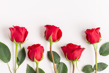 Red Roses Flatlay 2.0