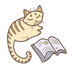 A little cat reading a book. Cute kitten isolated on white background. Education vector illustration. Back to school image. Adorable animal clip art.