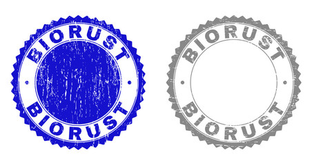 Grunge BIORUST stamp seals isolated on a white background. Rosette seals with grunge texture in blue and gray colors. Vector rubber imitation of BIORUST tag inside round rosette.