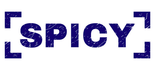 SPICY title seal print with corroded style. Text title is placed inside corners. Blue vector rubber print of SPICY with corroded texture.