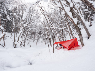 冬のハンモックキャンプ