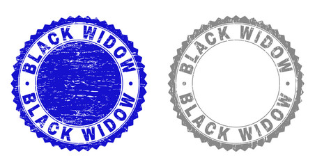 Grunge BLACK WIDOW stamp seals isolated on a white background. Rosette seals with grunge texture in blue and grey colors. Vector rubber overlay of BLACK WIDOW caption inside round rosette.
