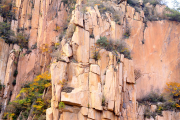 Rock closeup