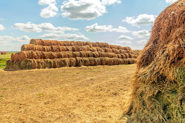 Straw bales on a sloping field.
