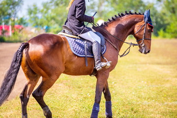 A close-up of the rider's body in the stirrups.
