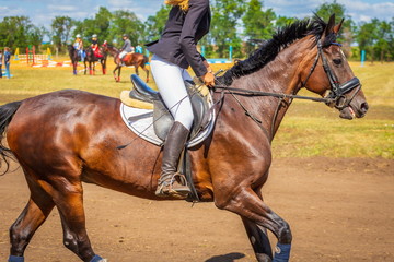 A close-up of the rider's body in the stirrups.