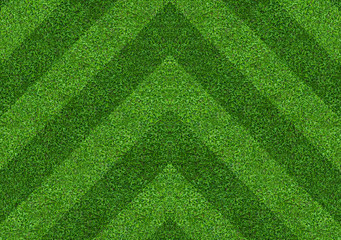 Abstract green grass field background. Green lawn pattern and texture.