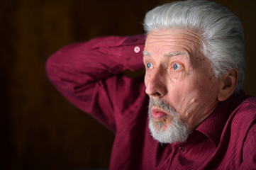 Portrait of confident senior man posing