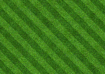 Obraz na płótnie Canvas Green grass field background for soccer and football sports. Green lawn pattern and texture background. Close-up.