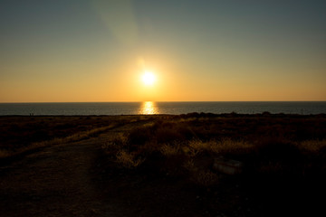 coast line with lighthouse, dune and rare vegetation in the background at sunset