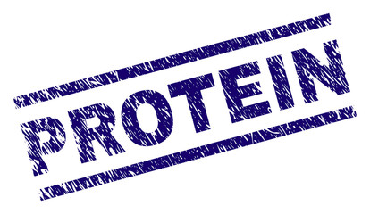 PROTEIN seal print with scratced style. Blue vector rubber print of PROTEIN tag with dirty texture. Text label is placed between parallel lines.