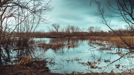 lake in winter