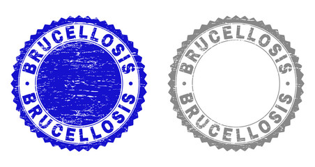 Grunge BRUCELLOSIS stamp seals isolated on a white background. Rosette seals with distress texture in blue and gray colors. Vector rubber watermark of BRUCELLOSIS caption inside round rosette.