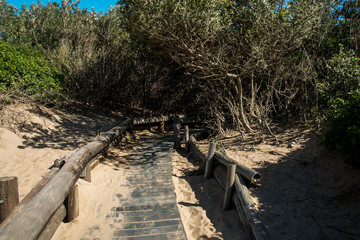 Wooden bridge footpath by the beach leading into thick bush growth