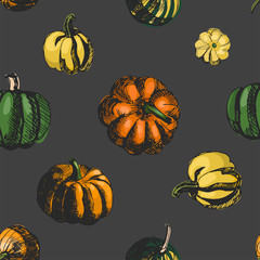 Pumkin vector seamless pattern. Sketch illustration. Vintage ink hand drawn collection of pumpkin on grey background.Great for fabrics, wallpaper,packaging.