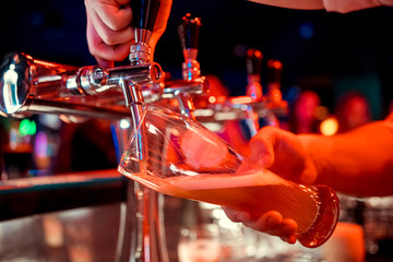 Barman hands pouring a lager beer in a glass.
