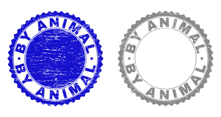 Grunge BY ANIMAL stamp seals isolated on a white background. Rosette seals with grunge texture in blue and grey colors. Vector rubber overlay of BY ANIMAL text inside round rosette.
