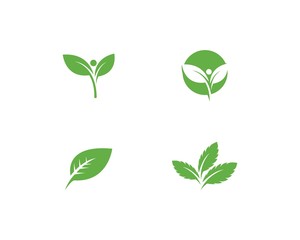 green leaf logo
