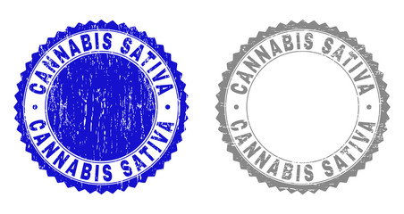 Grunge CANNABIS SATIVA stamp seals isolated on a white background. Rosette seals with grunge texture in blue and gray colors. Vector rubber imprint of CANNABIS SATIVA tag inside round rosette.