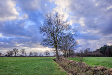 Rural scenery, field with trees near a ditch with dramatic clouds at twilight, Weelde, Flanders, Belgium.