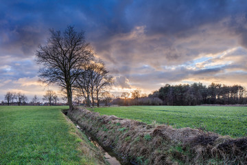 Rural scenery, field with trees near a ditch and colorful sunset with dramatic clouds, Weelde,...