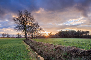 Rural scenery, field with trees near a ditch and colorful sunset with dramatic clouds, Weelde, Flanders, Belgium.