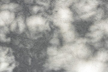 shadow of natural leaves falling on white concrete wall for background design