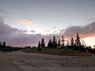 pinos