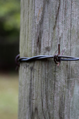 Chain around the Board