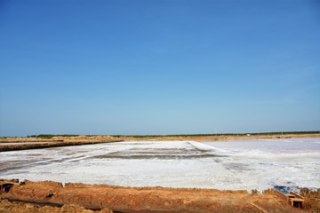 Estanque de sal blanca con pequeñas algas rosadas cielo despejado y de color azul marino  en el parque nacional de Saadani en Tanzania, Africa del Este.