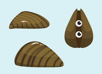 Invasive Species Zebra Mussel Vector Illustration © bullet_chained