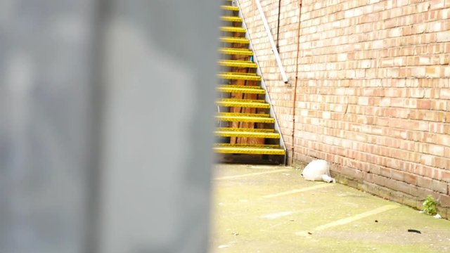 Iron fence blurred in foreground passing to reveal emergency steel staircase at side of building.