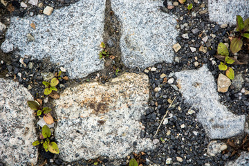 Stara kamienna droga