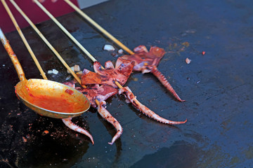 Squid with iron plate