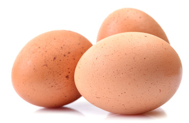 Eggs in isolated white background