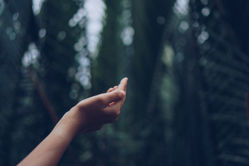 Woman hands place together like praying in front of nature green  background.